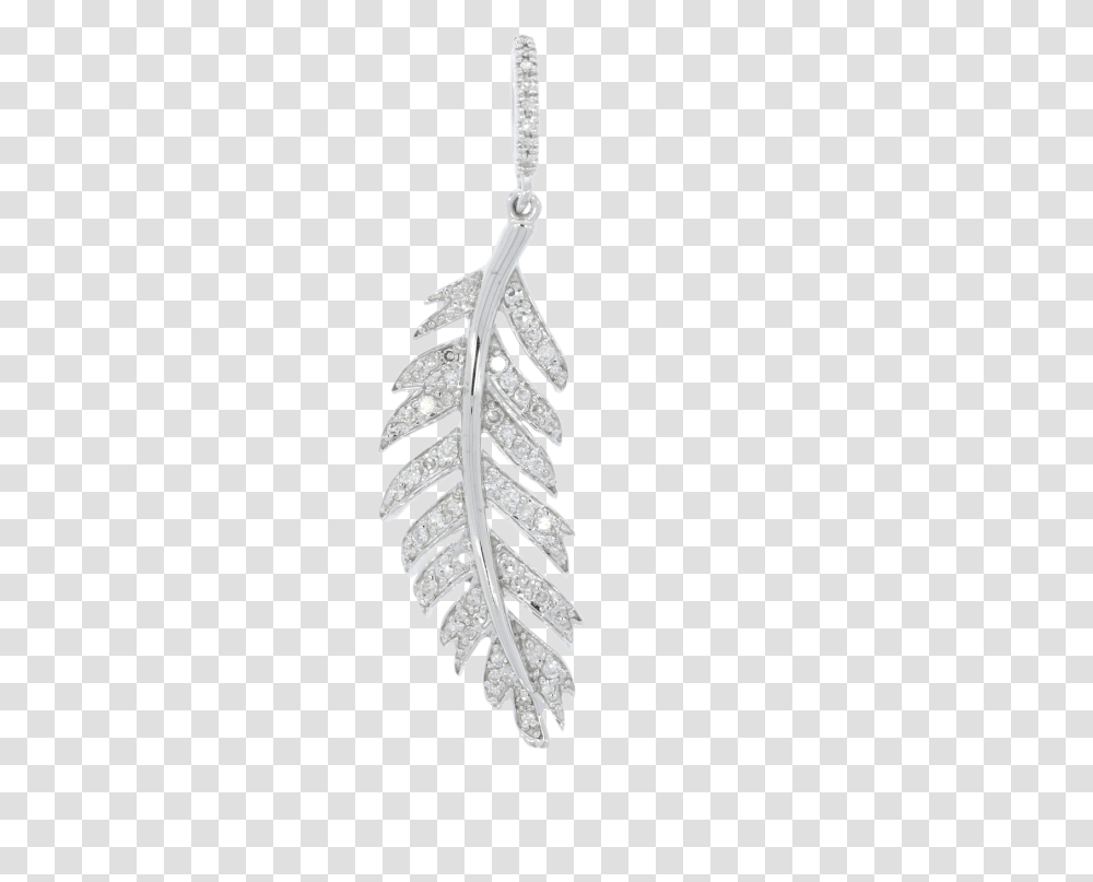 Pendant, Fern, Plant, Leaf Transparent Png