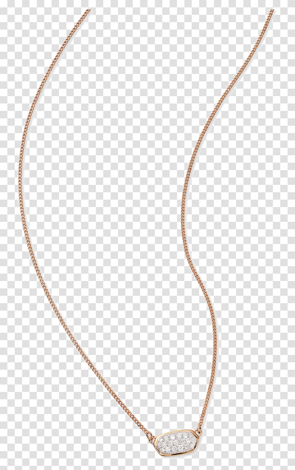 Pendant Necklace Image Necklace, Plant, Jewelry, Accessories, Bow Transparent Png