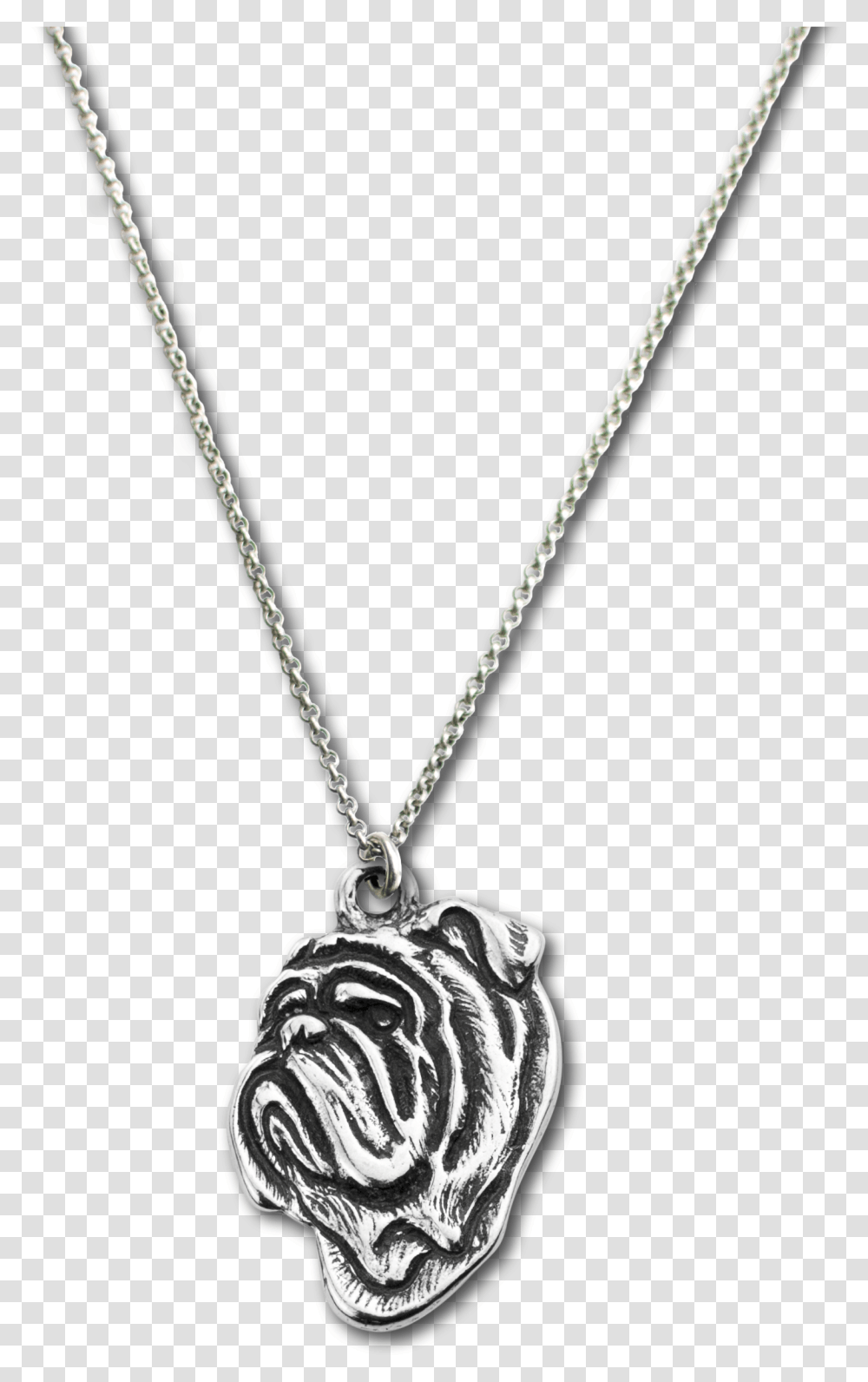 Pendant, Necklace, Jewelry, Accessories, Accessory Transparent Png