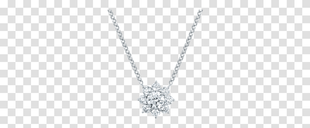 Pendant, Necklace, Jewelry, Accessories, Accessory Transparent Png