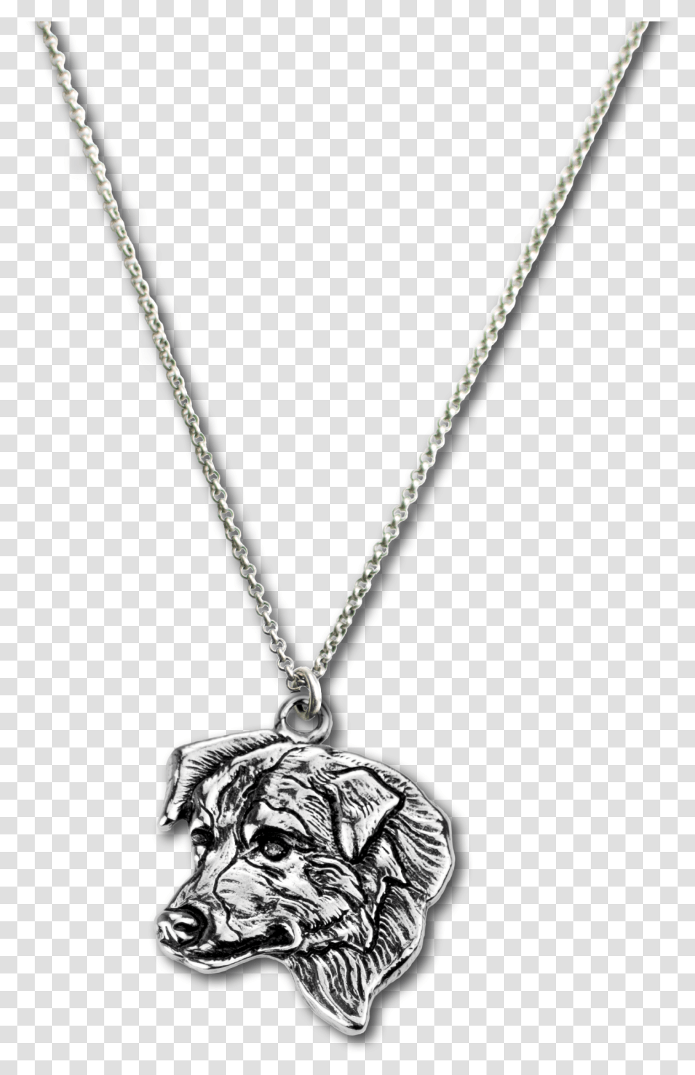 Pendant, Necklace, Jewelry, Accessories, Accessory Transparent Png