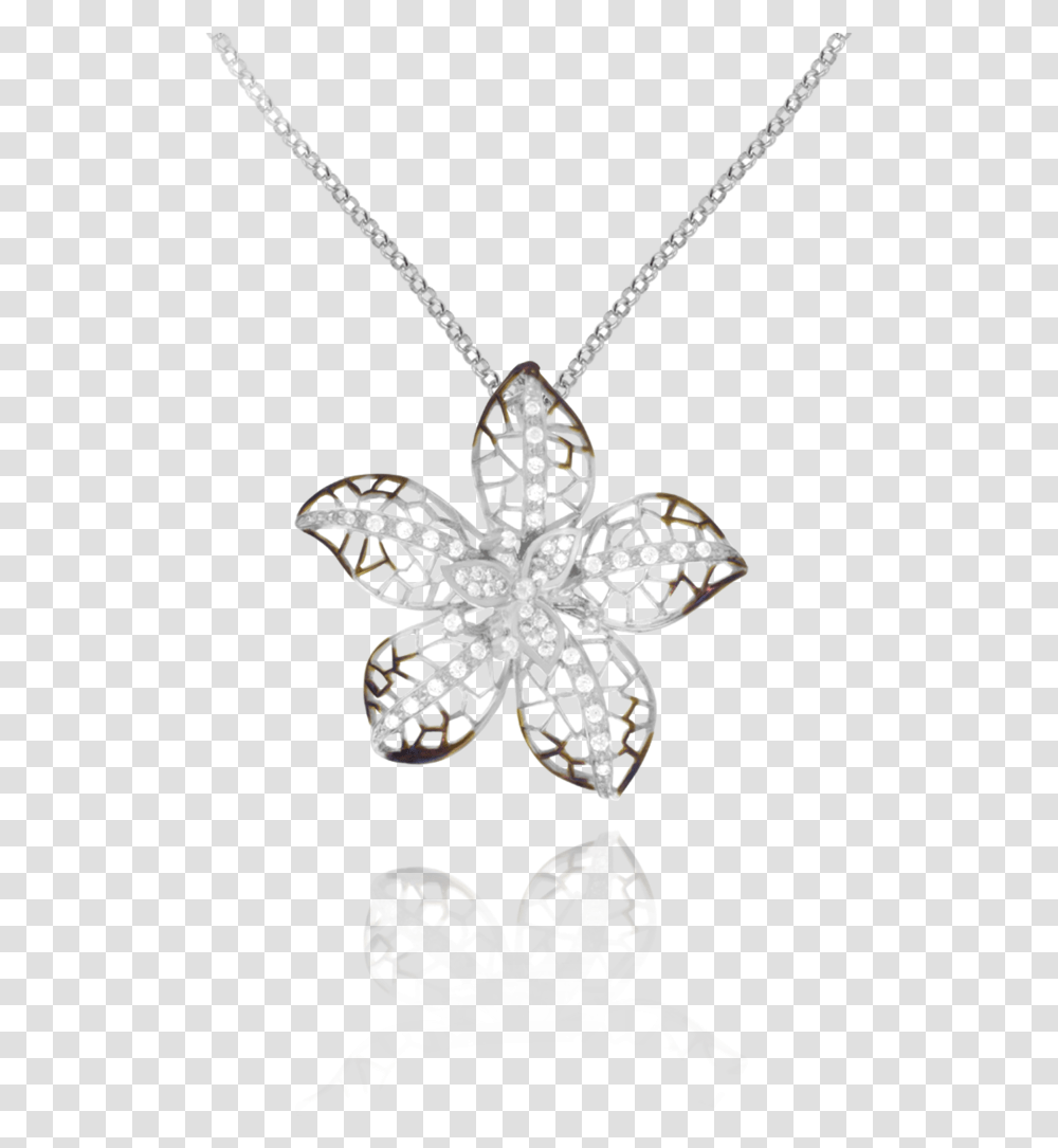 Pendant, Necklace, Jewelry, Accessories, Accessory Transparent Png