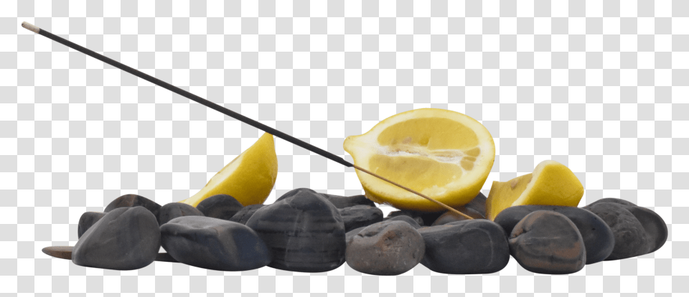 Pendy Co Lemon Incense Product Image Fruit, Plant, Citrus Fruit, Food, Peel Transparent Png