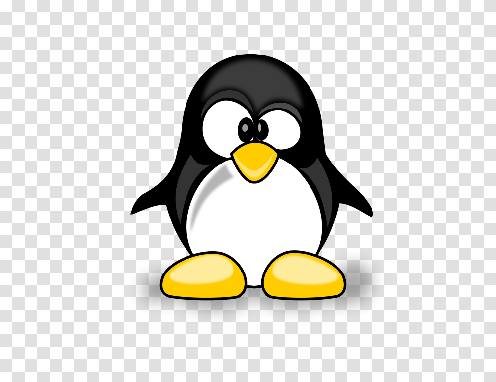 Pengi, Animals, Bird, Penguin, King Penguin Transparent Png