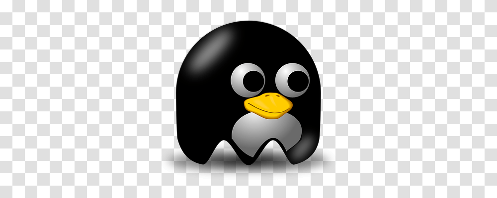 Penguin Person, Bird, Animal, Angry Birds Transparent Png