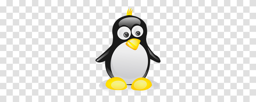 Penguin Animals, Bird, King Penguin Transparent Png