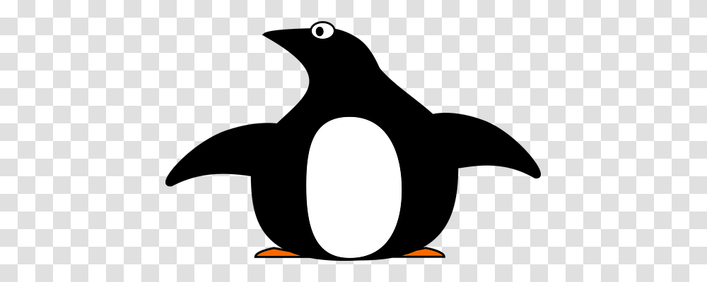 Penguin Animals, Moon, Astronomy, Outdoors Transparent Png