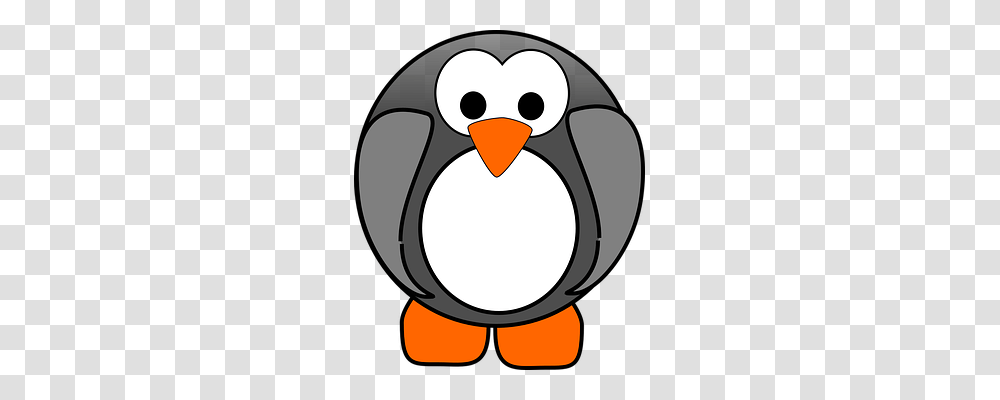 Penguin Animals, Bird, Duck, Beak Transparent Png