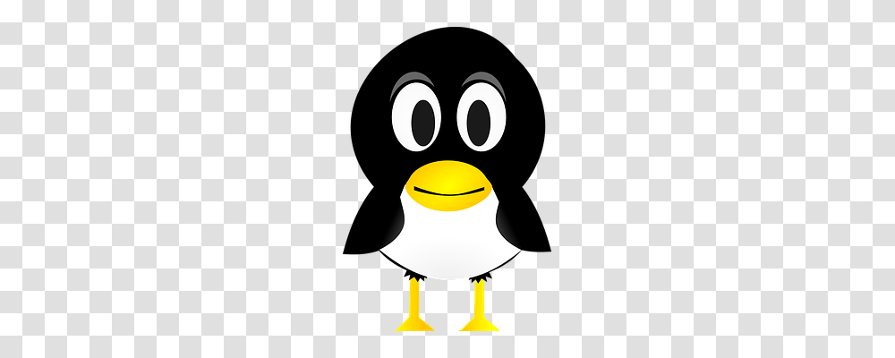 Penguin Animals, Bird, Angry Birds Transparent Png