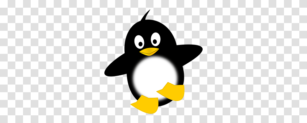 Penguin Person, Bird, Animal, Angry Birds Transparent Png