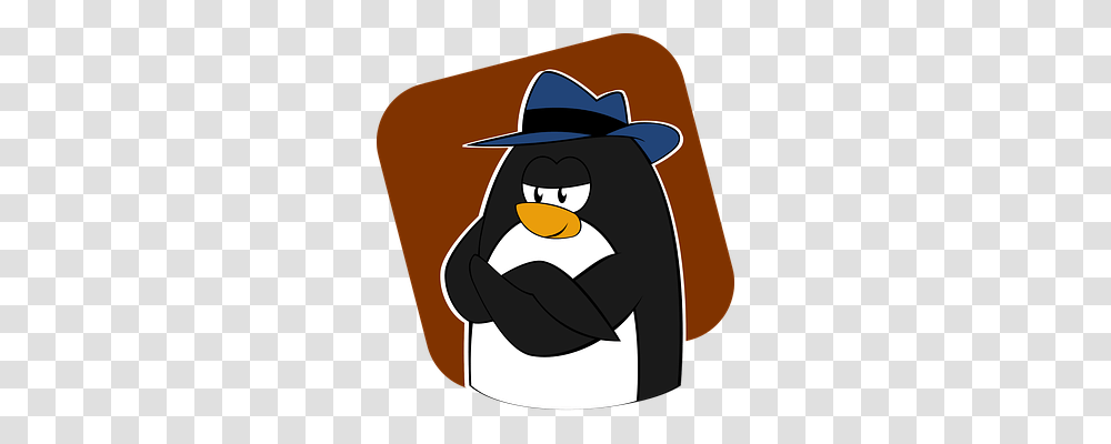 Penguin Animals, Apparel, Cowboy Hat Transparent Png