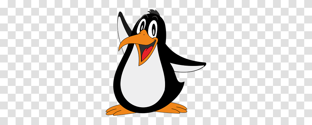 Penguin Emotion, Bird, Animal, King Penguin Transparent Png