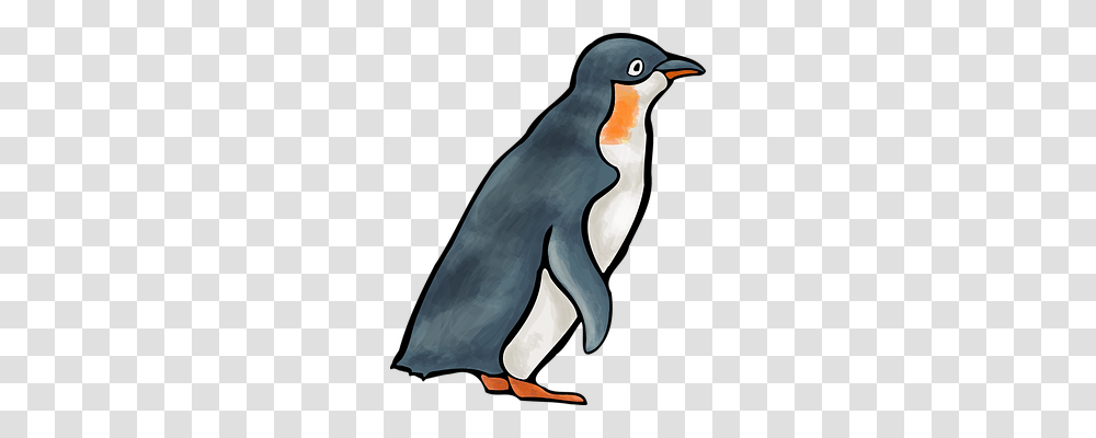 Penguin Animals, Bird, King Penguin, Beak Transparent Png