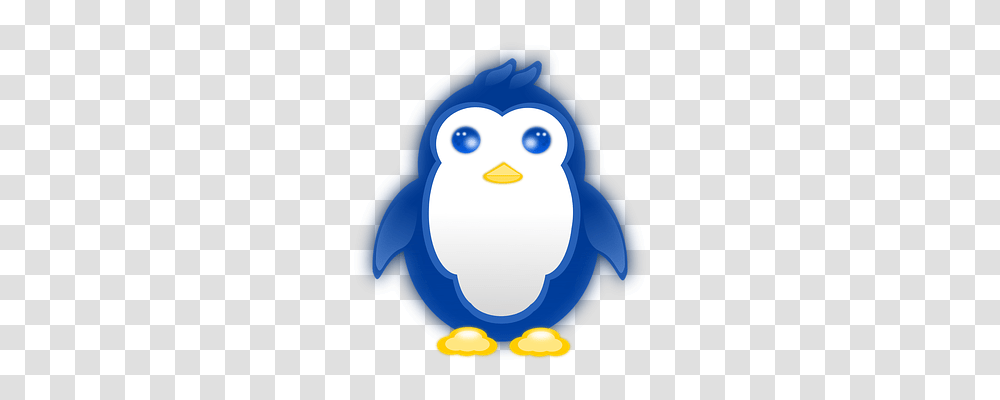 Penguin Animals, Bird, Snowman, Winter Transparent Png