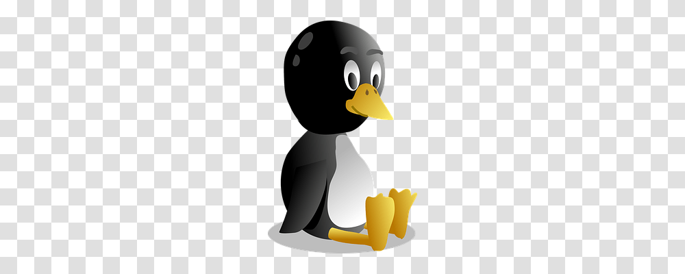 Penguin Animals, Bird, Beak Transparent Png