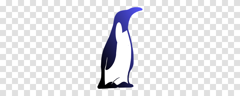 Penguin Animals, Sea Life, Bird, Mammal Transparent Png