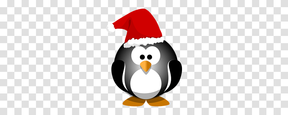 Penguin Holiday, Bird, Animal, Snowman Transparent Png