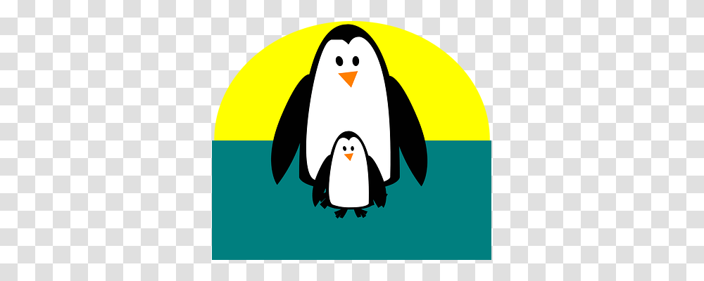 Penguin Animals, Bird, King Penguin Transparent Png