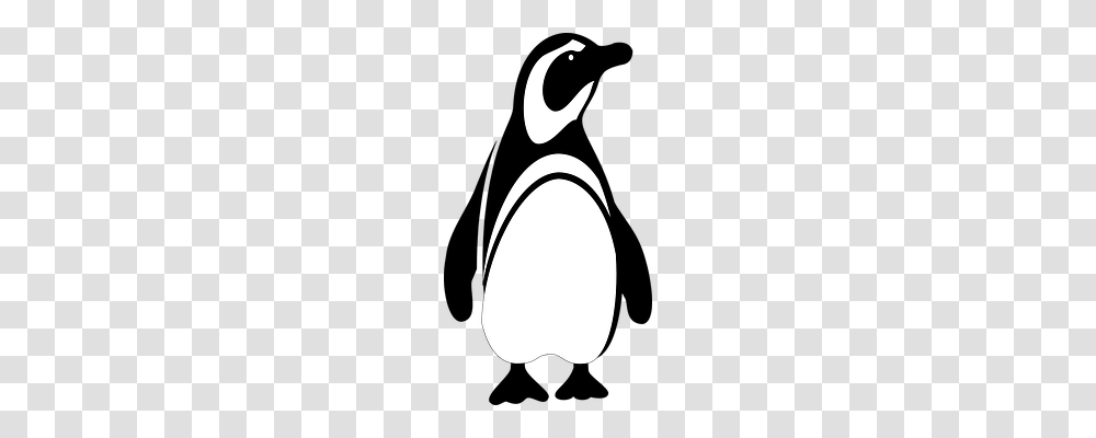 Penguin Animals, Oval, Moon, Outer Space Transparent Png