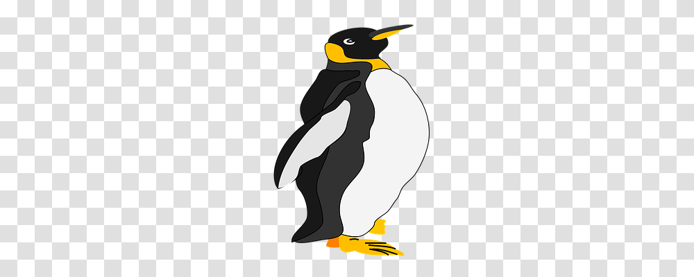 Penguin Animals, King Penguin, Bird Transparent Png