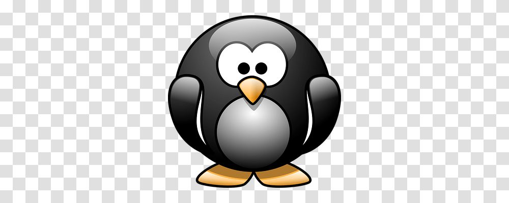 Penguin Animals, Bird, King Penguin Transparent Png