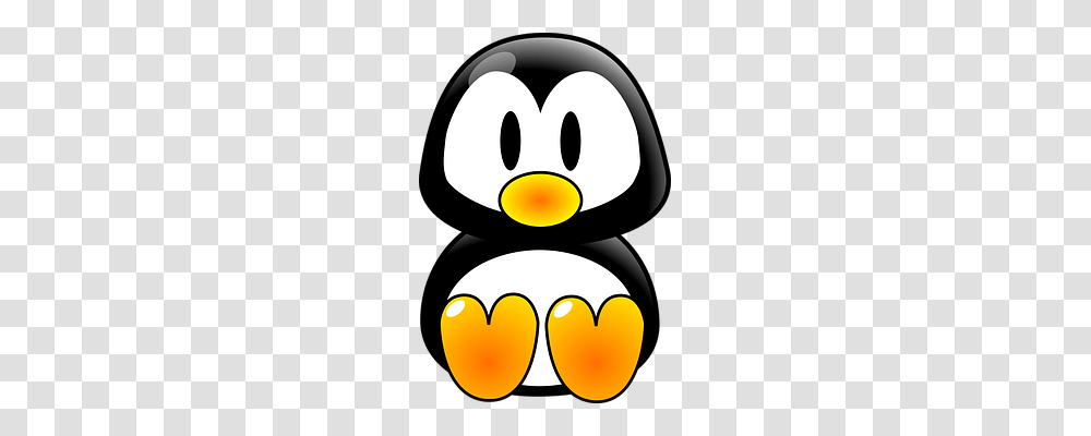 Penguin Nature, Light, Traffic Light Transparent Png