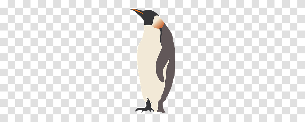 Penguin Animals, Sleeve, Undershirt Transparent Png
