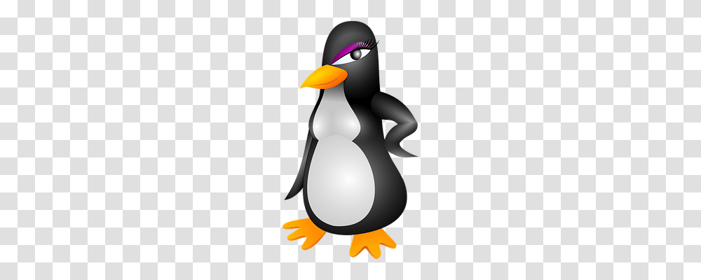 Penguin Person, Bird, Animal, King Penguin Transparent Png