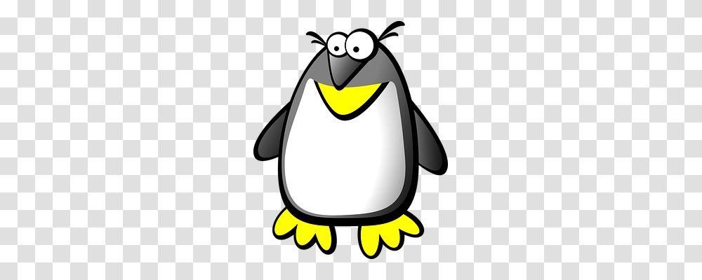 Penguin Person, Bird, Animal, King Penguin Transparent Png