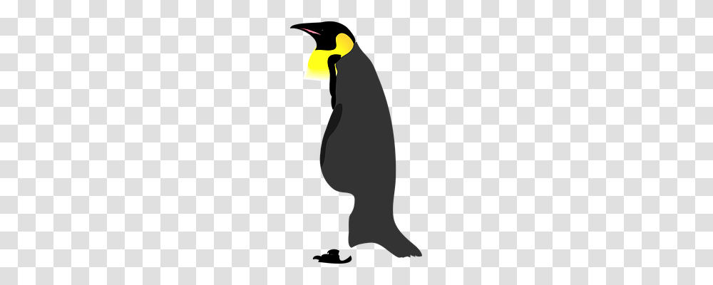 Penguin Animals, Bird, King Penguin, Silhouette Transparent Png