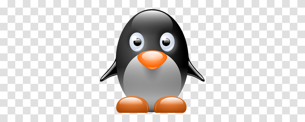 Penguin Bird, Animal, King Penguin Transparent Png