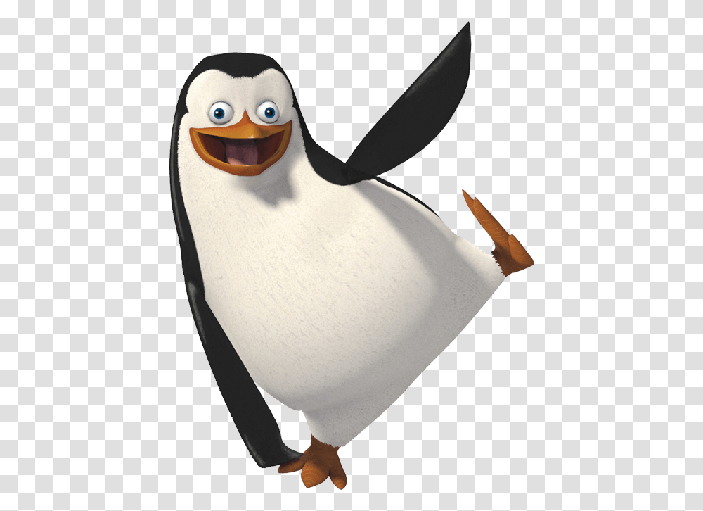 Penguin, Animal, Bird, Person, Human Transparent Png