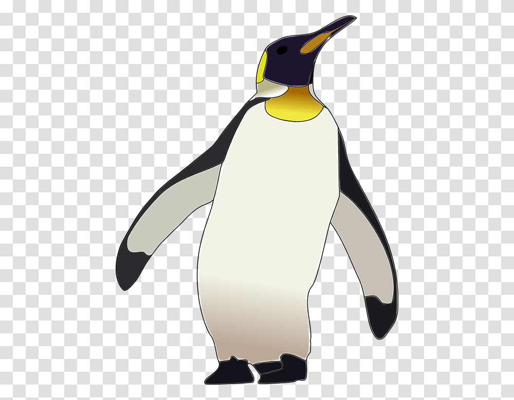 Penguin Art Background, Bird, Animal, King Penguin, Person Transparent Png
