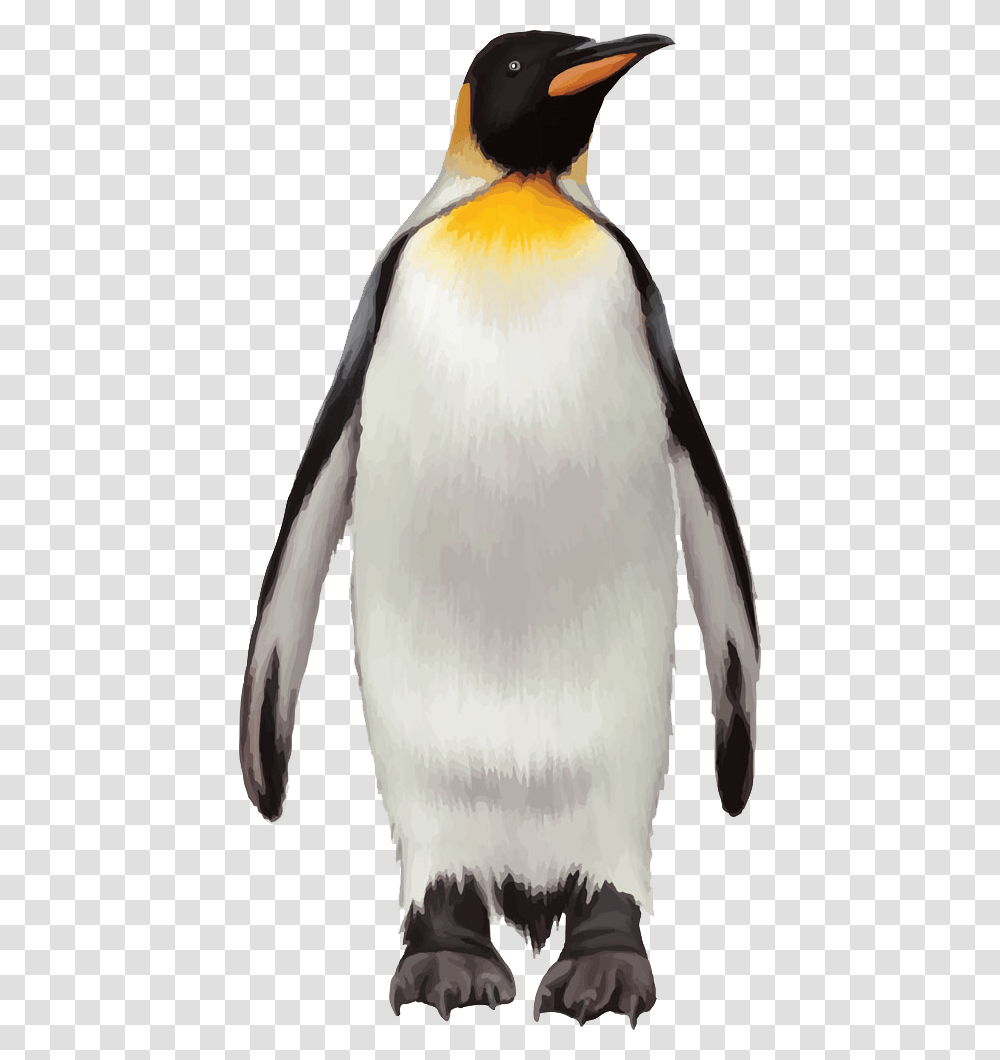 Penguin Background Penguin, King Penguin, Bird, Animal Transparent Png