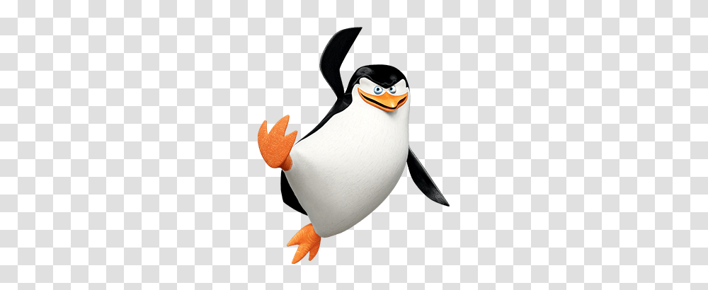 Penguin, Bird, Animal, Beak, Snowman Transparent Png