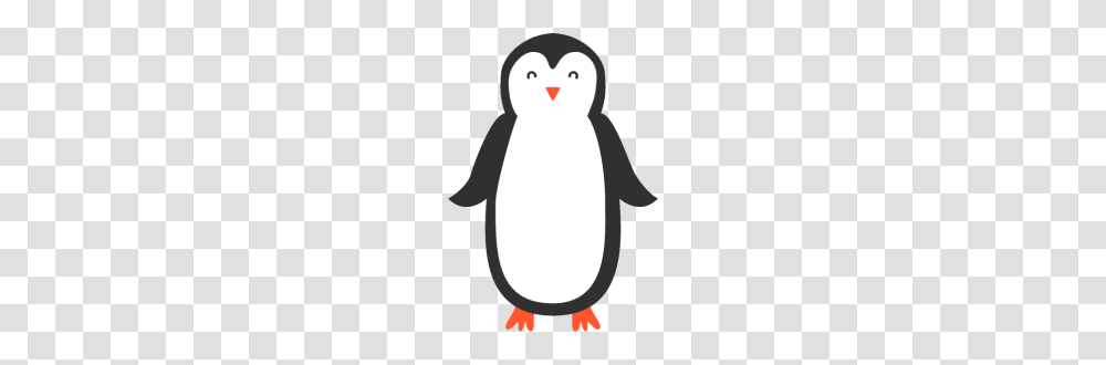 Penguin, Bird, Animal, King Penguin, Snowman Transparent Png