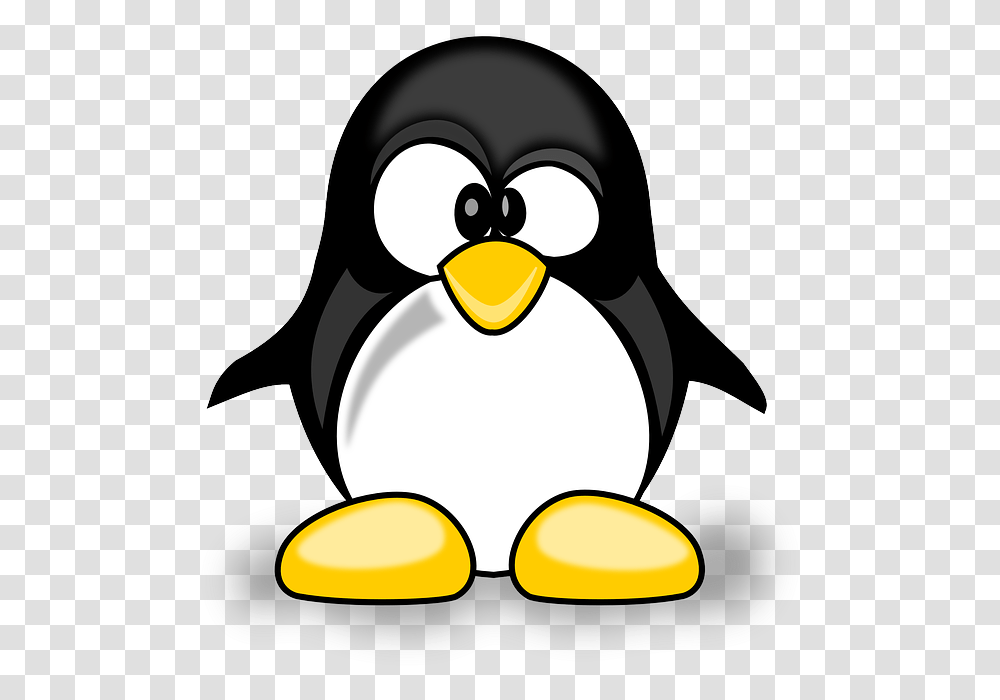 Penguin, Bird, Animal, King Penguin Transparent Png
