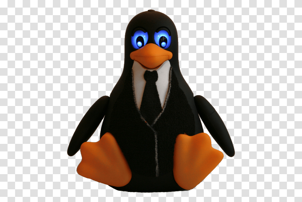 Penguin, Bird, Animal, Person, Human Transparent Png