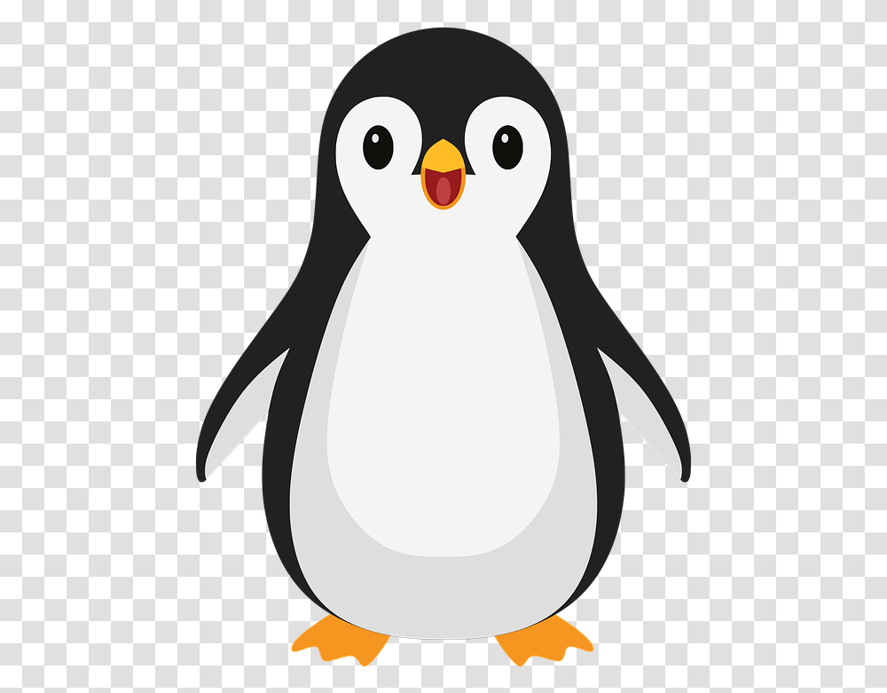 Penguin Bird Cartoon Cartoon Cute Penguin, Animal, King Penguin Transparent Png