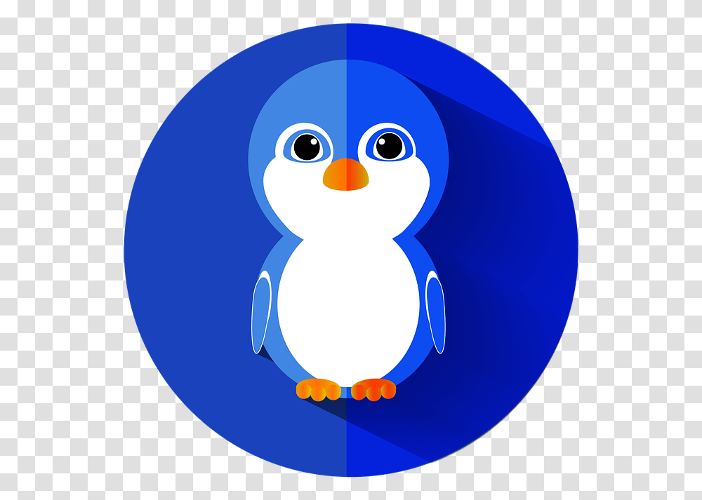 Penguin Bird Flat Icon Ikon Lucu, Animal, Snowman, Winter, Outdoors Transparent Png