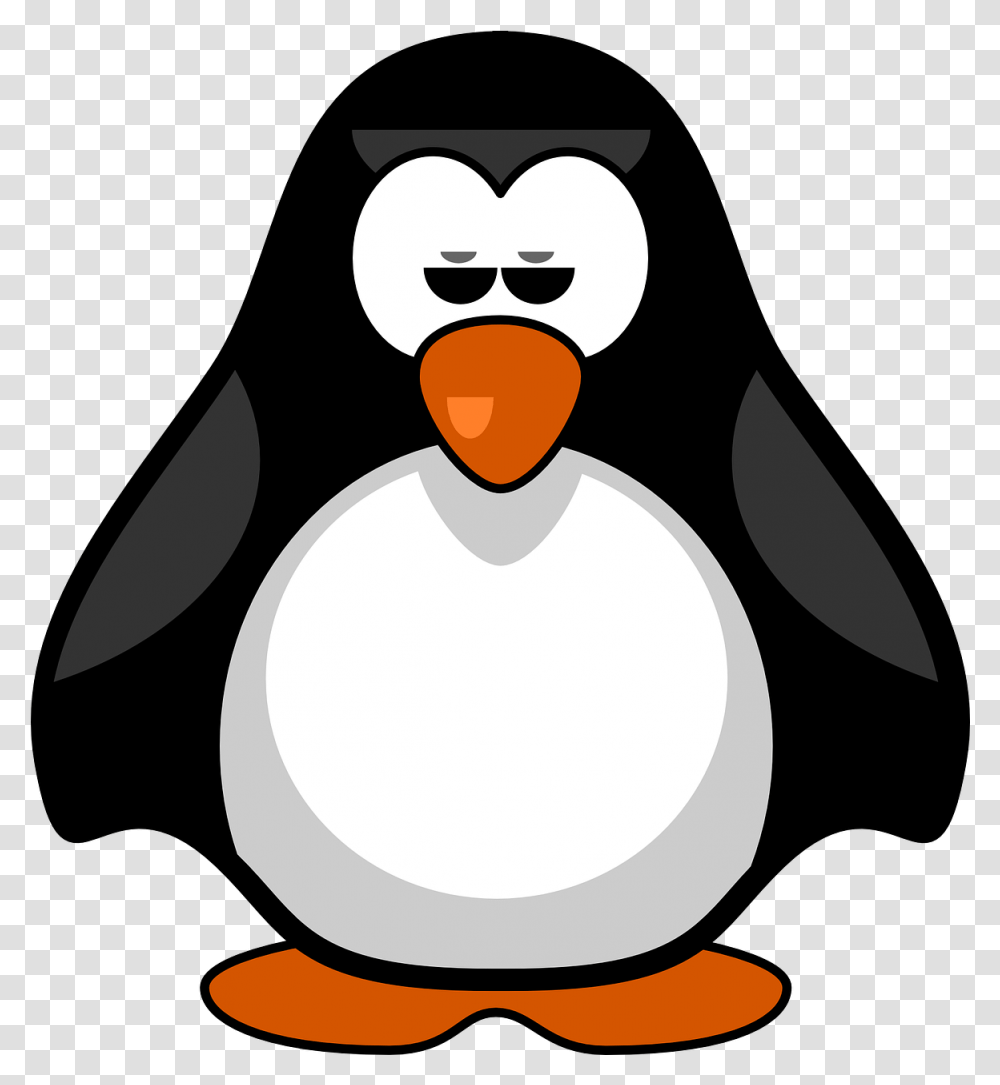 Penguin Bird Flightless Wildlife Nature P For Penguin Clipart, Animal Transparent Png