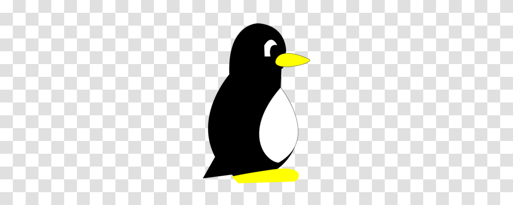 Penguin Bird Swimming Can Stock Photo, Lamp, Animal, Moon, Night Transparent Png