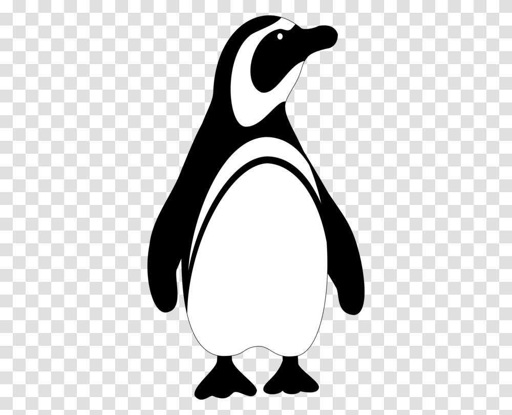 Penguin Bird Vector Penguin Clipart Black And White, Moon, Outer Space, Night, Astronomy Transparent Png