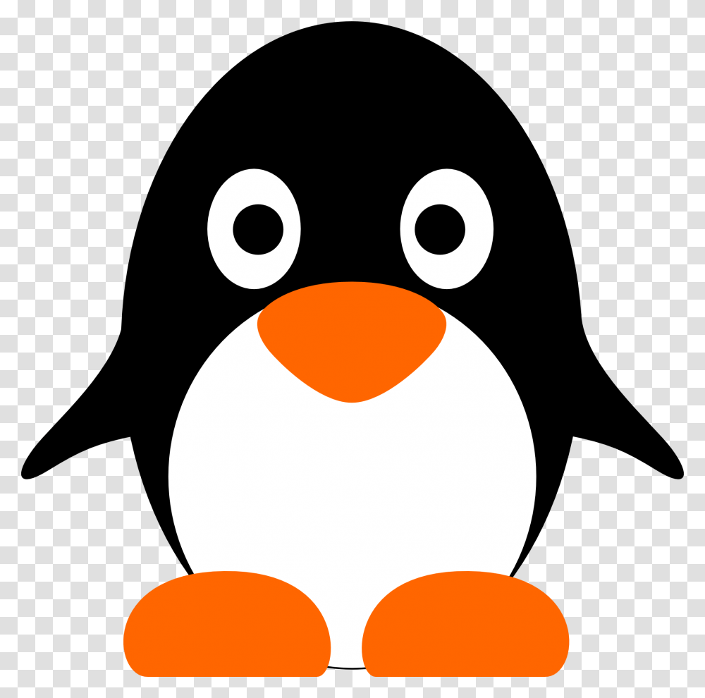Penguin Black Clipart, Bird, Animal, King Penguin Transparent Png