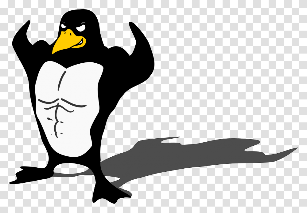 Penguin Bodybuilder Linux Muscle Tux Animal Funny Penguin Bodybuilder, Bird, Face, Mammal, Outdoors Transparent Png