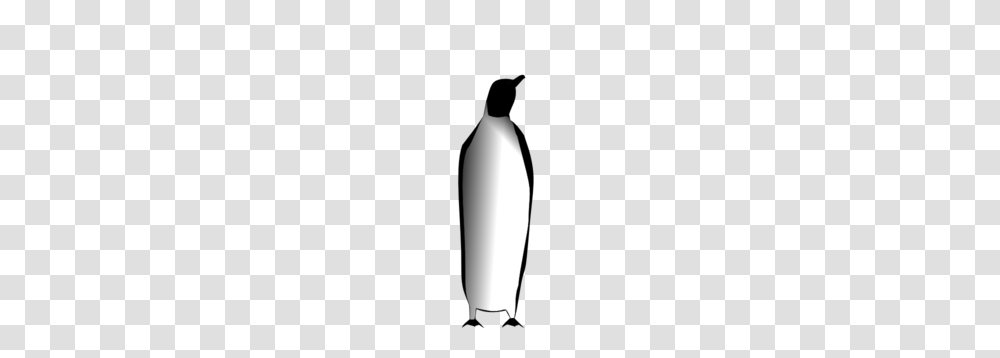Penguin Clip Art For Web, Candle, Light, Launch, Icing Transparent Png