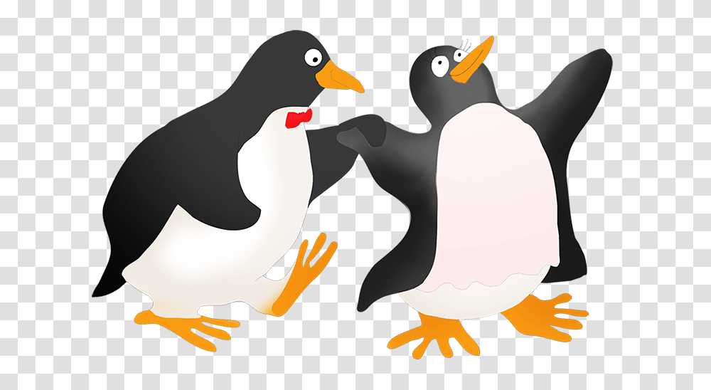 Penguin Clip Art Free Download Penguin Clip Art, Bird, Animal, King Penguin, Beak Transparent Png