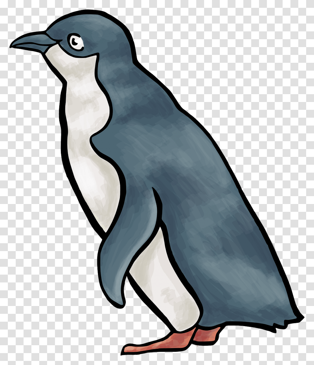 Penguin Clip Art Vector Graphics Royalty Free Image Little Blue Penguin Clipart, Bird, Animal Transparent Png
