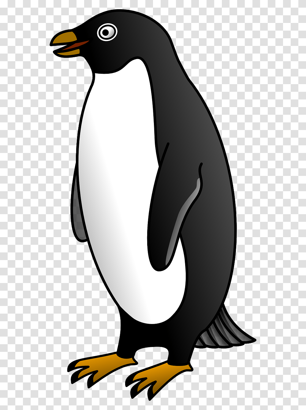 Penguin Clipart Black And White, Bird, Animal, King Penguin, Blow Dryer Transparent Png