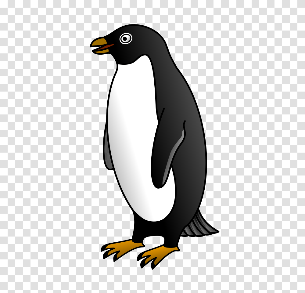 Penguin Clipart Chilly, Animal, Bird, King Penguin Transparent Png